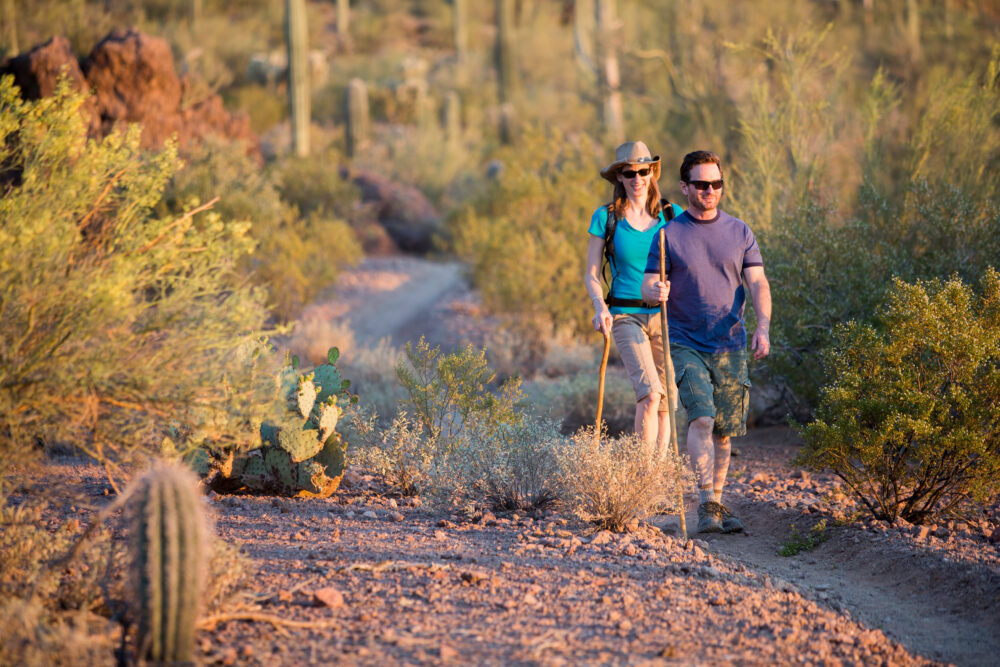 Desert Trail